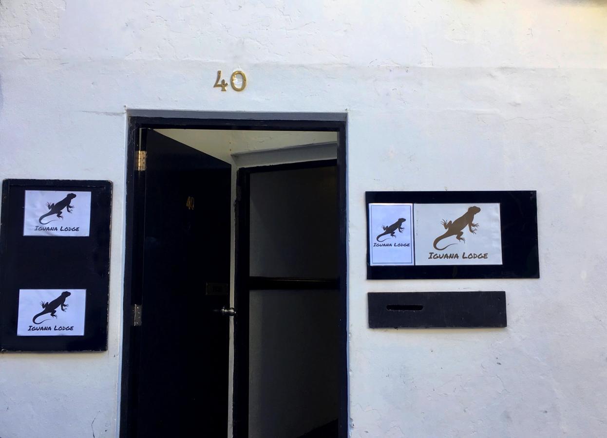 Hostel Iguana *